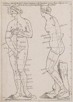 KG 11035
          <br/>
          Proporties van Venus de Medici, frontaal en in profiel
          <br/>
          <em>Picart, Etienne (Le Romain) (1632-1721)</em>